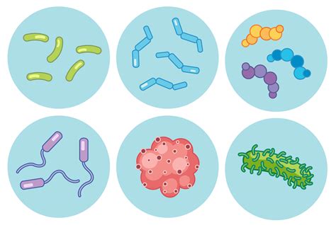 Collection Of Various Magnified Bacteria Vector Art At Vecteezy