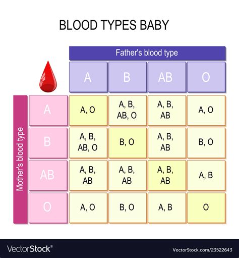 Blood Types Bachart Royalty Free Vector Image Vectorstock