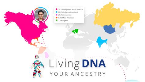 Living Dna Ancestry Test Kit Full Review Review Hub
