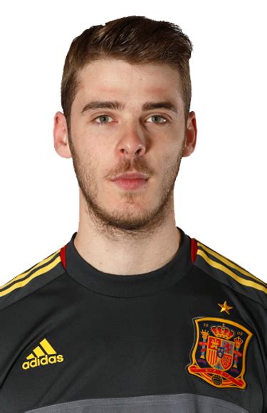 Convert any png to icon. De Gea - Mundial 2014 - MARCA.com