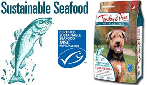 What types of dog food does tender and true dog food offer? Ocean Whitefish and Potato Dry Dog Food | Tender and True Pet