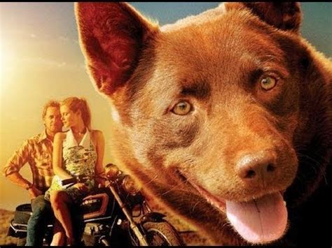 I can't find it anywhere! Red Dog Movie Review - YouTube