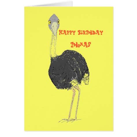 Ostrich Birthday Card Named Zazzle