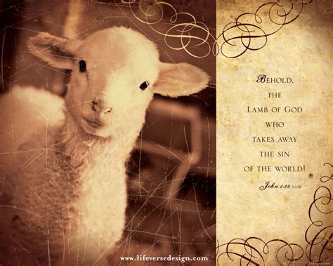 John 01 — The Lamb Of God Life Verse Design