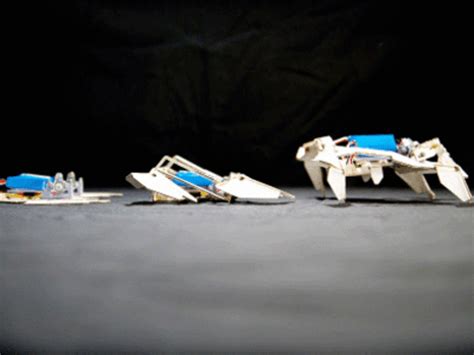 Self Folding Origami Robot Gets Up And Walks The Economic Times