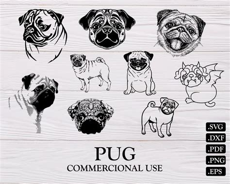 Download 223 Pug vector images at Vectorified.com
