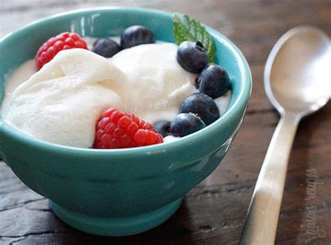 Low Fat Vanilla Bean Frozen Yogurt Just A Pinch Recipes