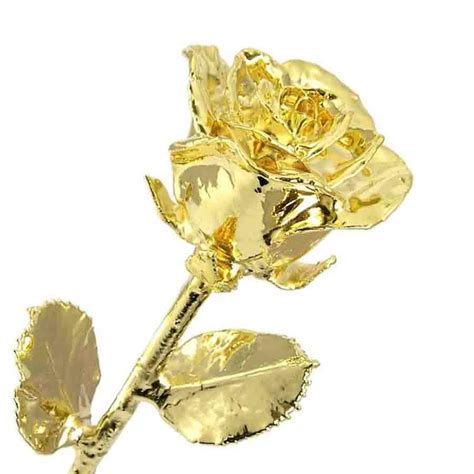 Long Stem Gold Dipped Rose 24kt Gold Dipped Real Roses