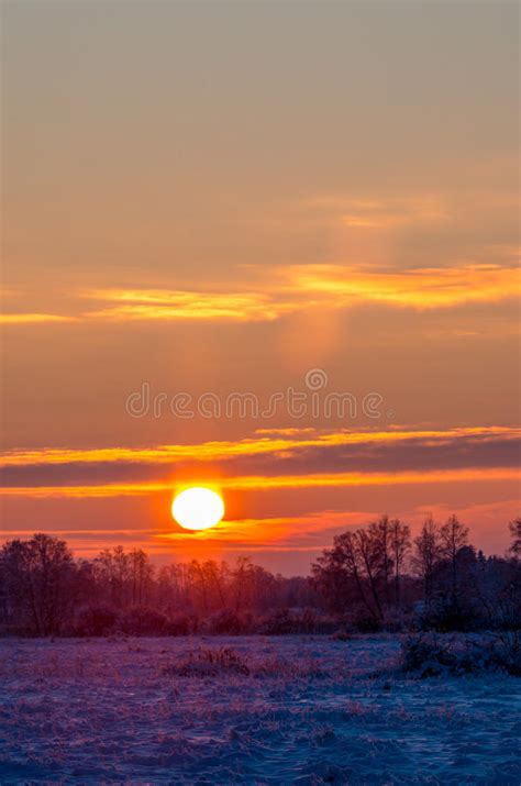 Sunrise At Snowy Frosty Field Stock Image Image Of Golden Sunset