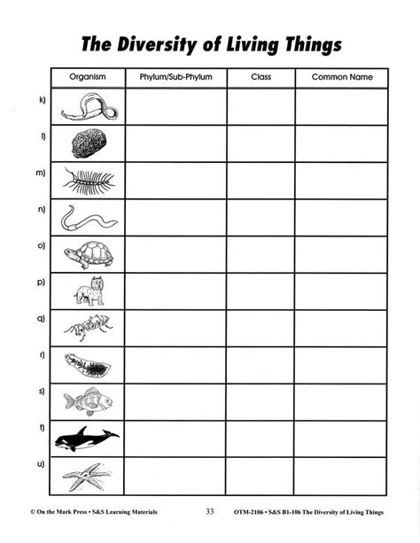 7 Best Images Of Animal Kingdom Classification Worksheet Classifying