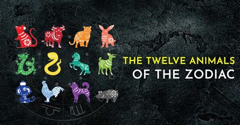 The Twelve Animals Of The Zodiac
