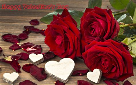 Happy Valentines Day Roses And Greeting Card