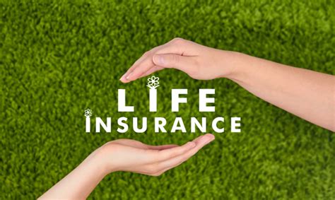 What Type Of Company Life Insurance Benefits To Offer ...