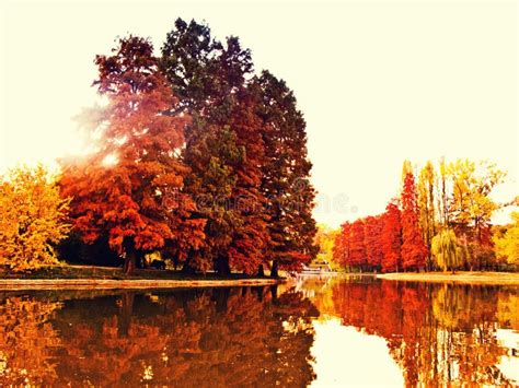 Colorful Autumn Lake Stock Image Image Of Reflect Beautiful 23247679