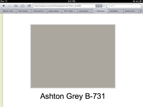 Https://tommynaija.com/paint Color/boysen Paint Color Dark Gray