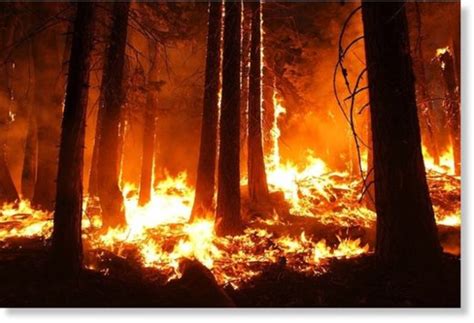 Huge Forest Fires Blaze In Russias Siberia And Far East