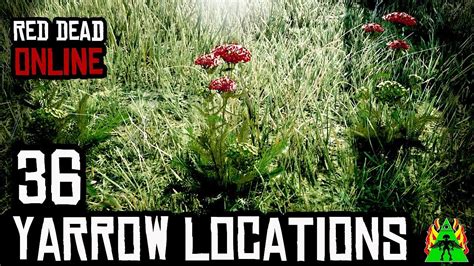 Red Dead Redemption 2 Online Yarrow Locations Youtube