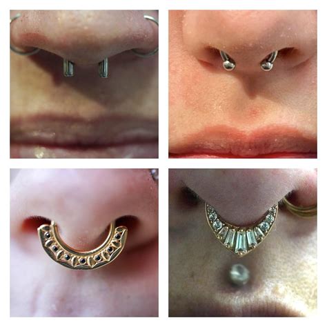 Heres A Set Of Septum Piercings All Done By Me At Different Gauges