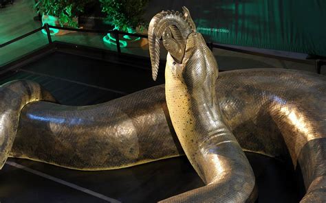 Titanoboa The Largest Snake