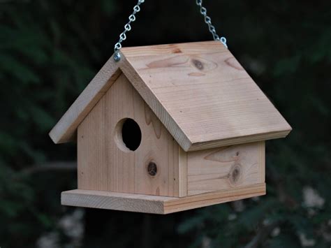 Birdhouse Hanging Style Made From Cedar Wood Etsy Wooden Bird