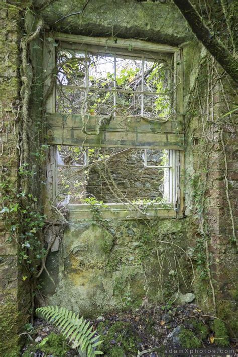 Explore 54 Baron Hill Estate Beaumaris Wales May 2014 Abandoned
