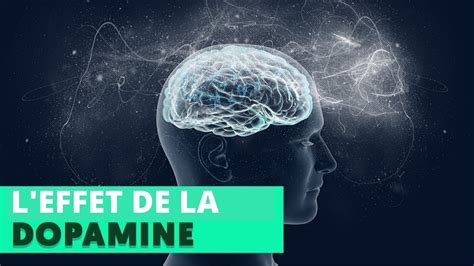 Effets De La Dopamine YouTube