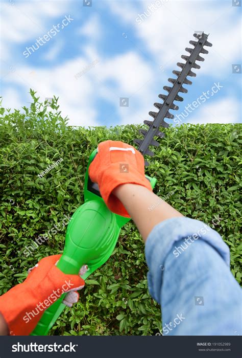 Woman Trimming Bushes Using Electrical Hedge Stock Photo Shutterstock