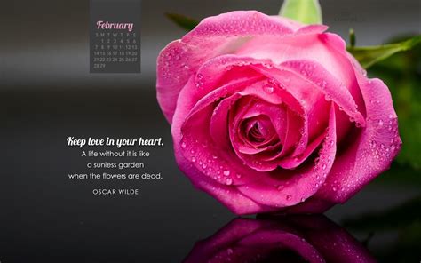Beautiful February Desktop And Mobile Wallpaper Free Backgrounds