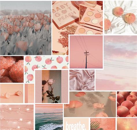 Peachy Aesthetic Collage🍑 Aesthetic Collage Aesthetic Collage