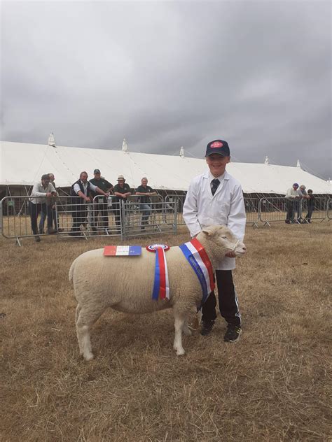 Dorset County Show 2022