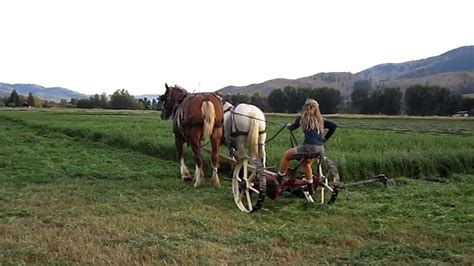 Mowing Hay With Horses Youtube