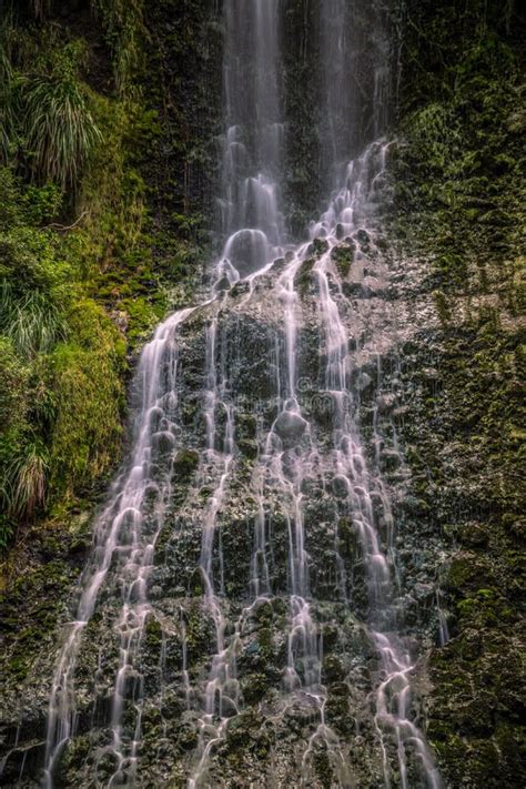 Close Up Karekare Waterfall Vertical Stock Photo Image Of Nature