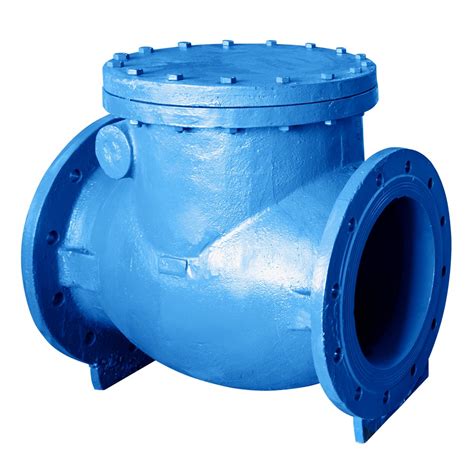 Non Return Valve Dn 250 Pn 10 With Flange And Metal Closures
