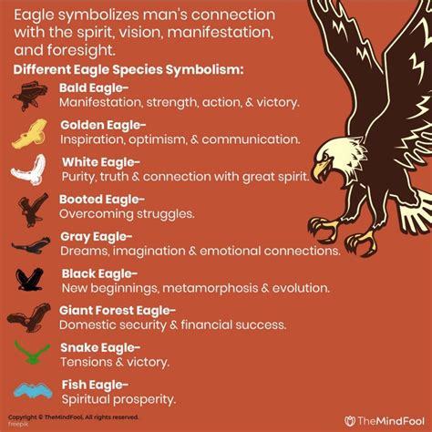 Native American Symbols Eagle Meaning