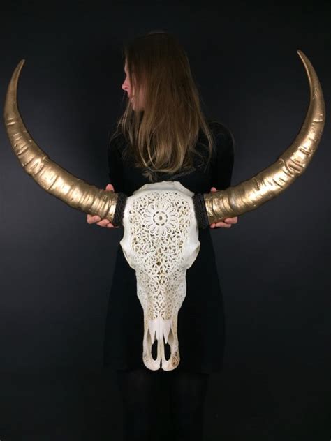 Original Indonesian Carved Water Buffalo Skull With Catawiki