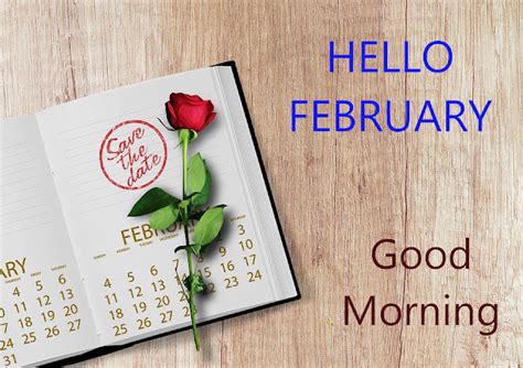 Top 10 Good Morning Hello February Images Greating Picturesphotos For