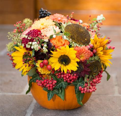 Afterwards the pumpkin fruit will start growing!! Fabulous Flower Pumpkins, Part I | Pumpkin flower, Pumpkin ...