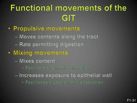Ppt Gastrointestinal Physiology Powerpoint Presentation Free