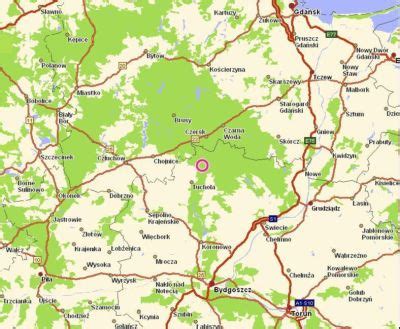 Bory tucholskie są jednym z największych borów sosnowych w polsce i zajmują blisko 3 tys. Interkl@sa :: Polski Portal Edukacyjny::..