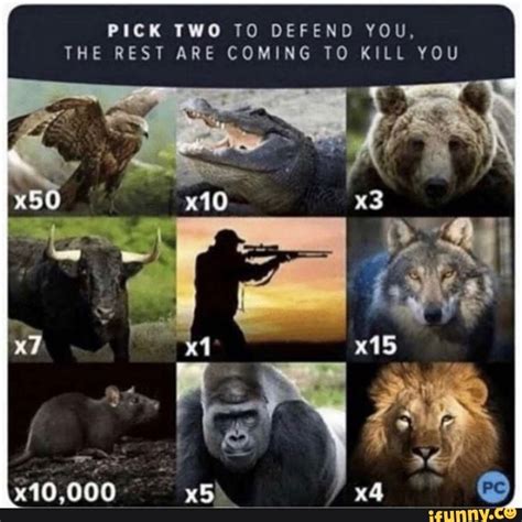 Pick Two To Defend You The Rest Are Coming To Kill You Ifunny