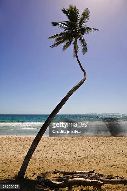 Nueva Esparta Photos And Premium High Res Pictures Getty Images