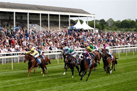 Wholl Win At York Races Tips For The June Meeting 2018 Day 2 Yorkmix