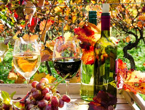 Image Foliage Wine Autumn Grapes Food Bottle Stemware