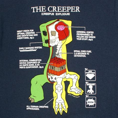 Minecraft Creeper Anatomy Hall Of Geek La Culture Geek
