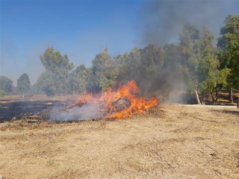 אירוע שריפה ביער בארי, גורם השריפה בלון תבערה. טל לב רם: צה"ל עונה לטענות על שחיקת ההרתעה | מעריב