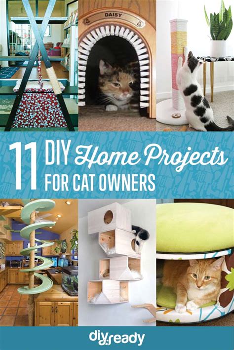 25 Easy And Simple Diy Pet Projects