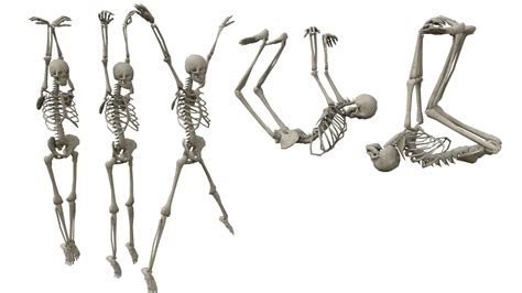 Artstation Skeleton Hanging Poses Low Poly 3d Model Resources
