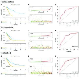 Performance Evaluation And Validation Of The Newly Developed