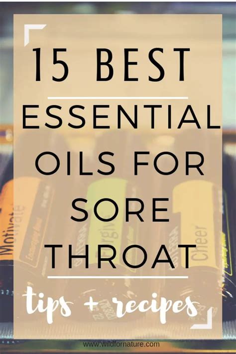 15 Best Essential Oils For Sore Throat Doterra To The Rescue Wild
