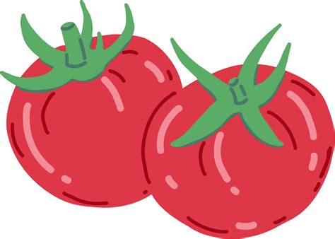 Doodle Freehand Sketch Drawing Of Tomato Vegetable 11357927 Png